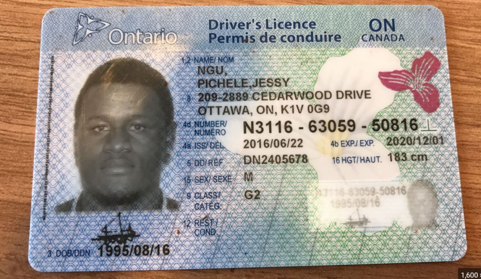 where can i get Canada drivers license